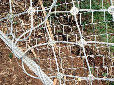 钢丝绳网图片2